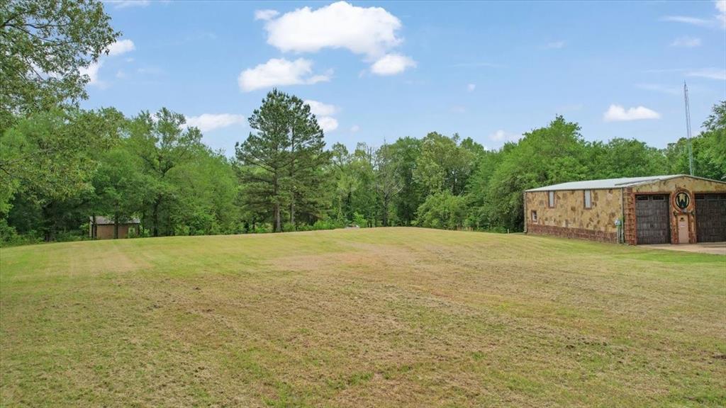 380 Timber Lakes Drive Powderly, TX 75473 - Photo 6 of 19 a big yard with trees in the background