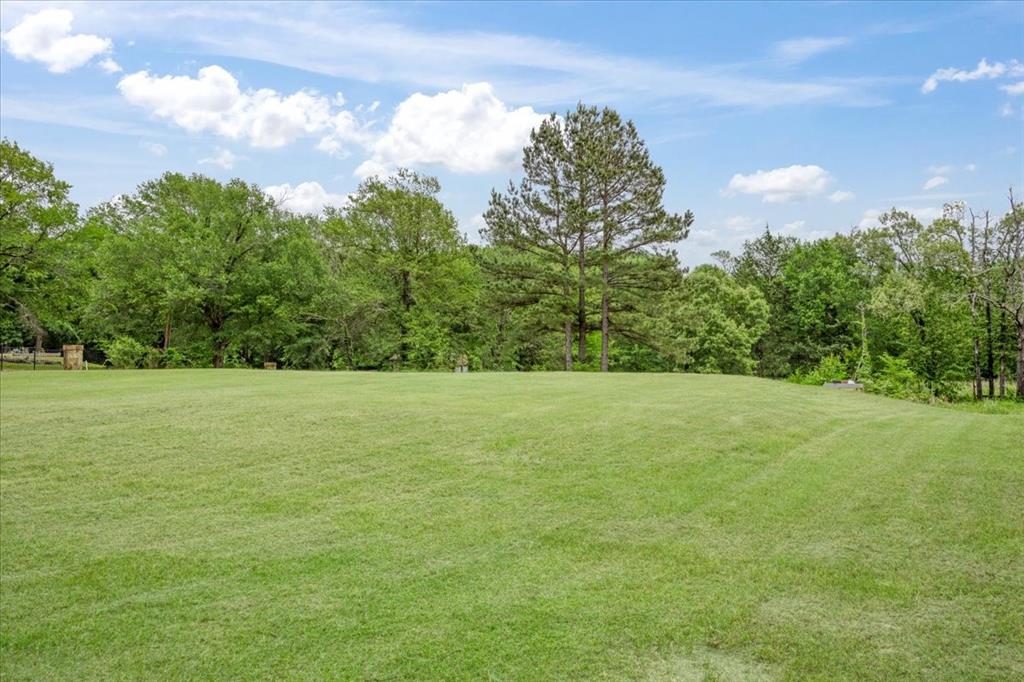 380 Timber Lakes Drive Powderly, TX 75473 - Photo 7 of 19 a view of a field with an trees