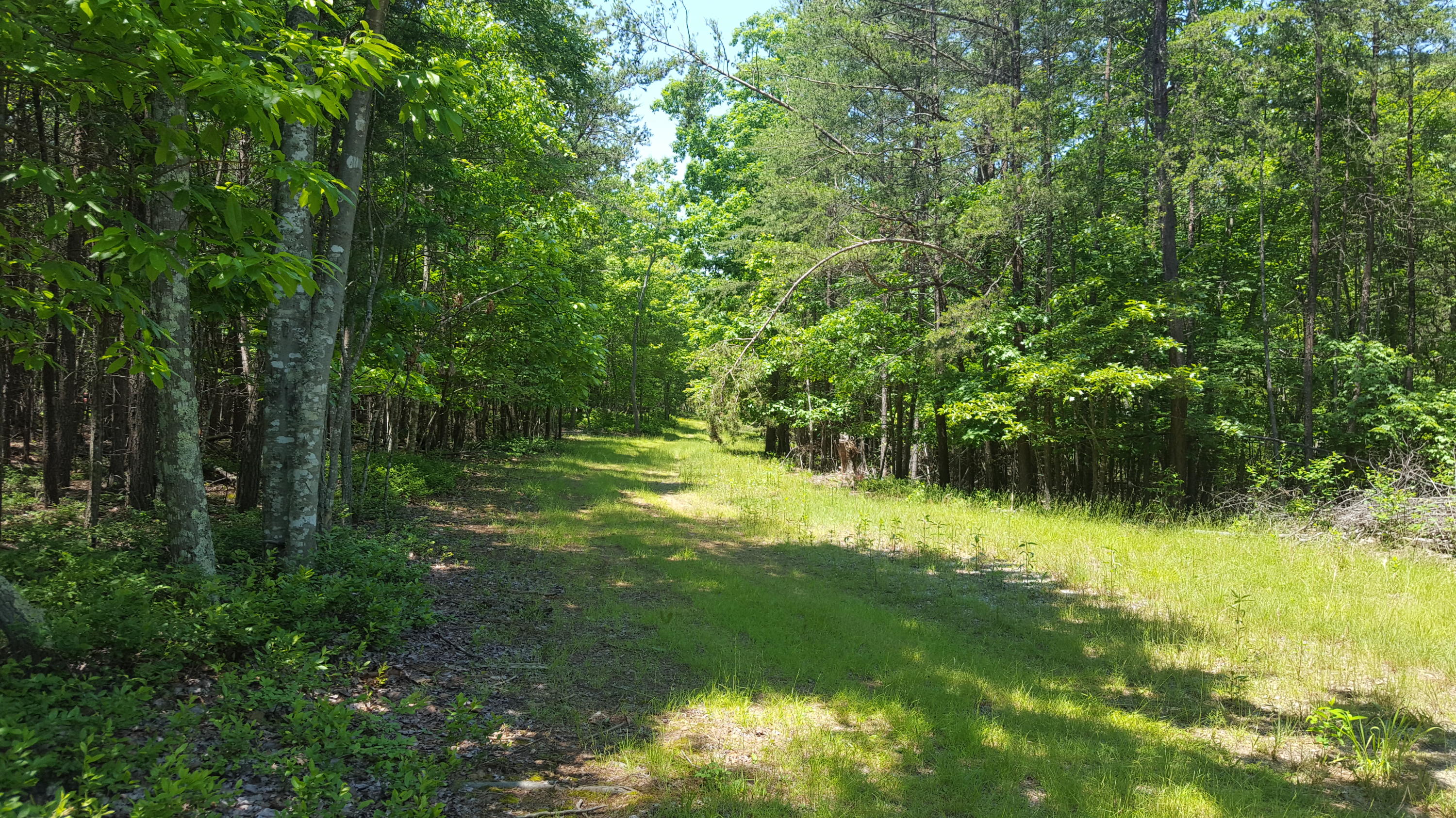 Lot 40 Ridgewood Road Huddleston, VA 24104 - Photo 1 of 5 2016-05-24 12.23.21