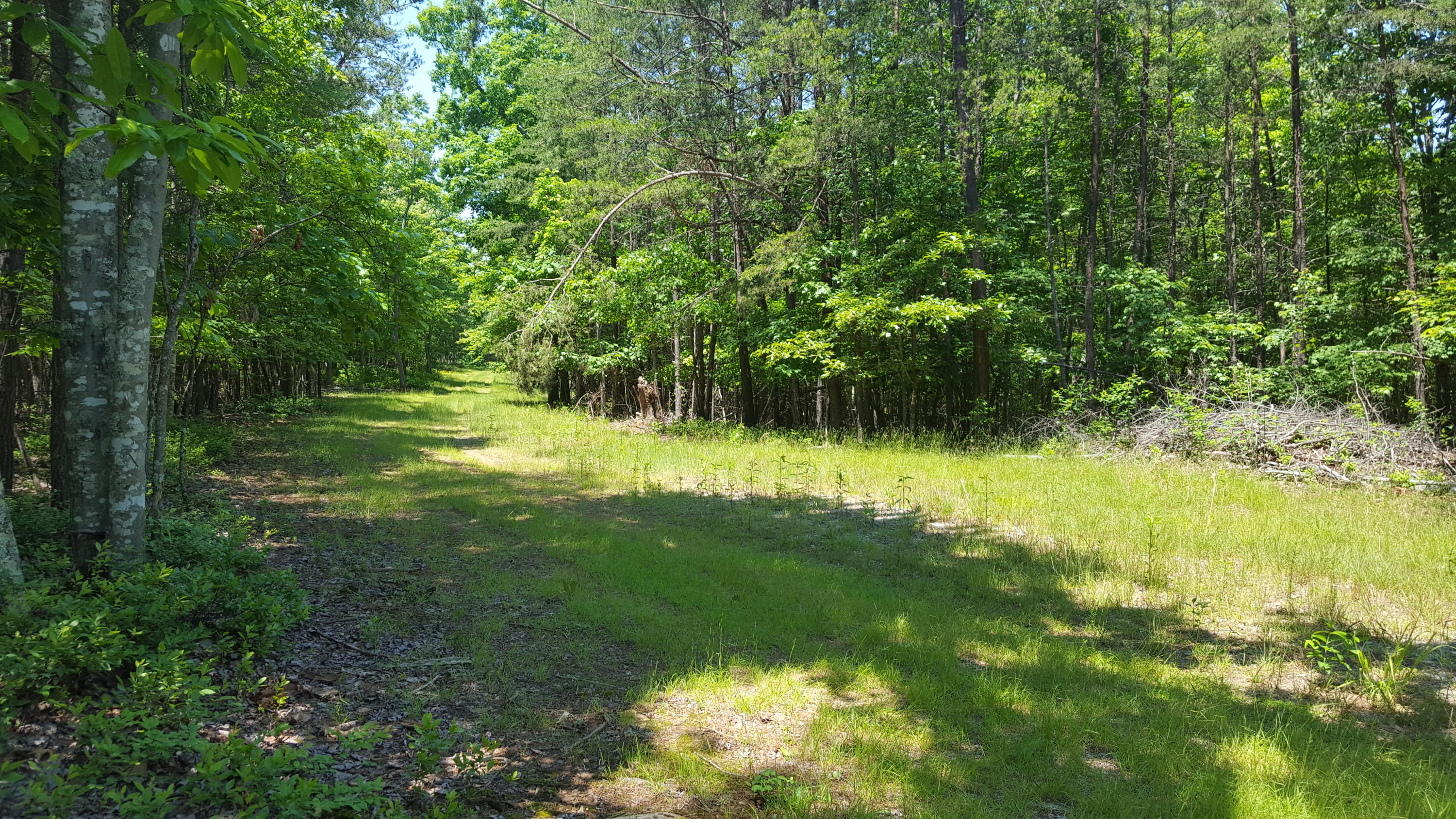 Lot 40 Ridgewood Road Huddleston, VA 24104 - Photo 3 of 5 2016-05-24 12.23.11