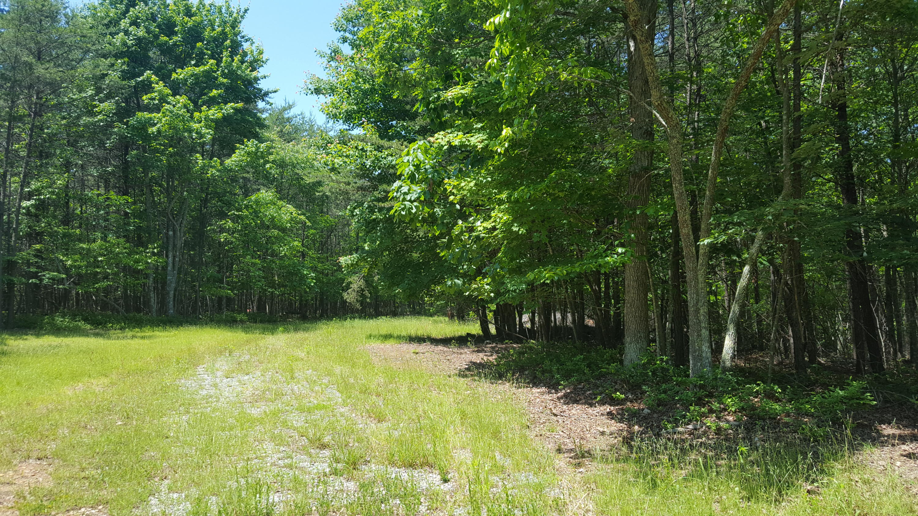 Lot 40 Ridgewood Road Huddleston, VA 24104 - Photo 4 of 5 2016-05-24 12.22.44