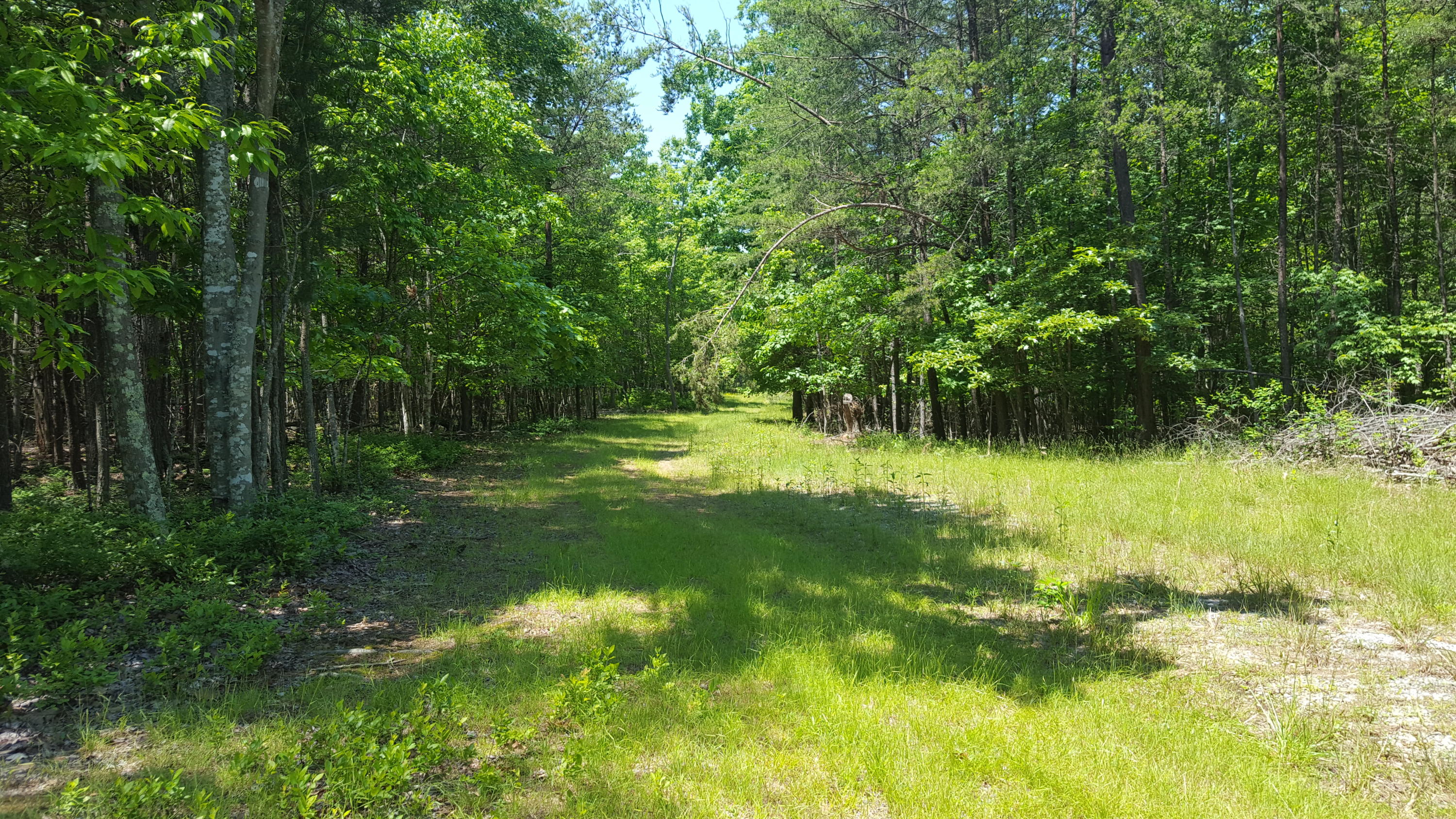 Lot 40 Ridgewood Road Huddleston, VA 24104 - Photo 5 of 5 2016-05-24 12.23.06