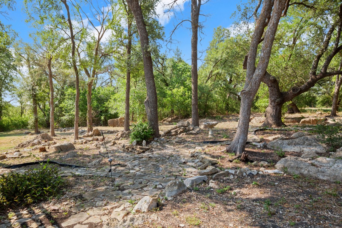 333 County Road 166 Georgetown, TX 78626 - Photo 16 of 36 a view of a forest filled with trees