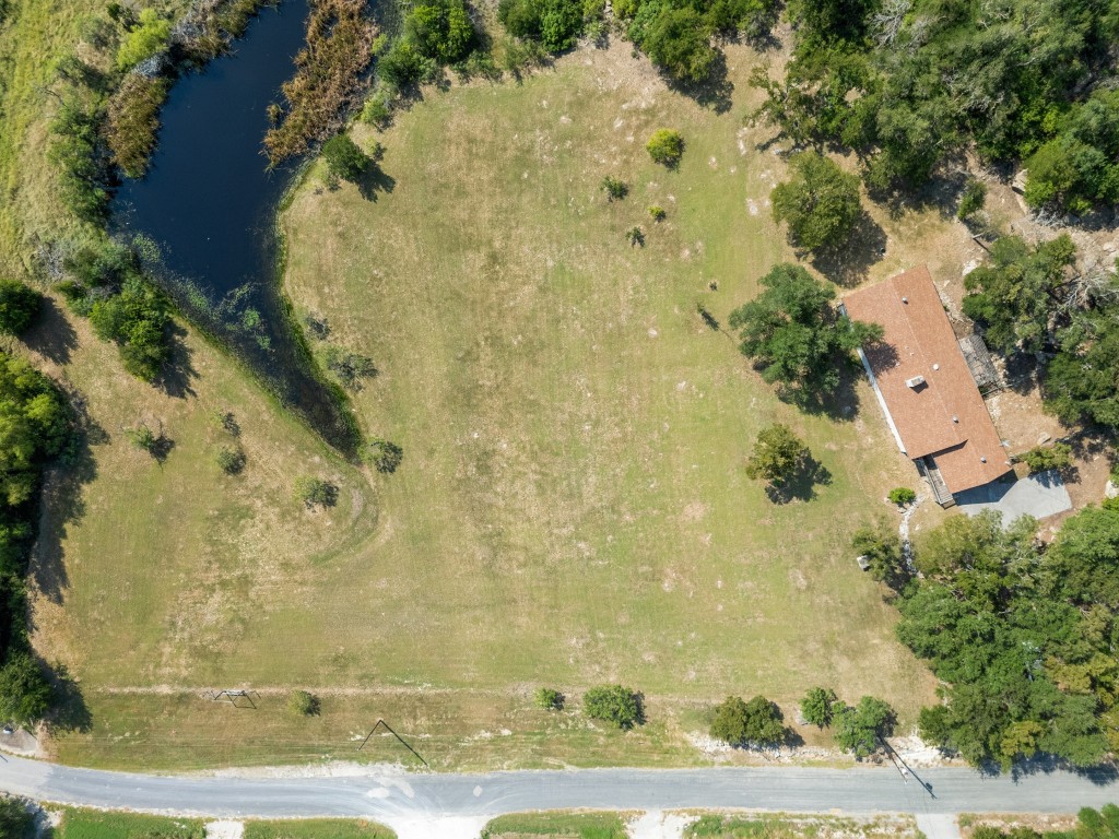 333 County Road 166 Georgetown, TX 78626 - Photo 35 of 36 a view of a painting of a tree