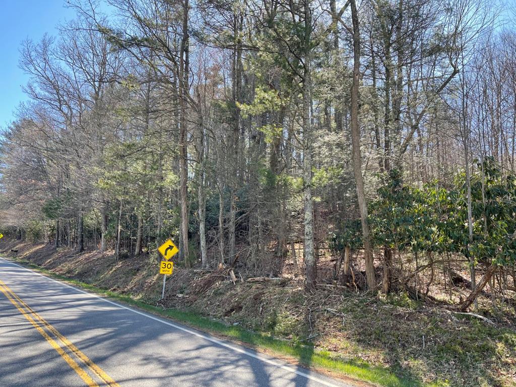 Tbd Chances Creek Road, Unit 4 Fancy Gap, VA 24328 - Photo 1 of 8 Gallery Image 1
