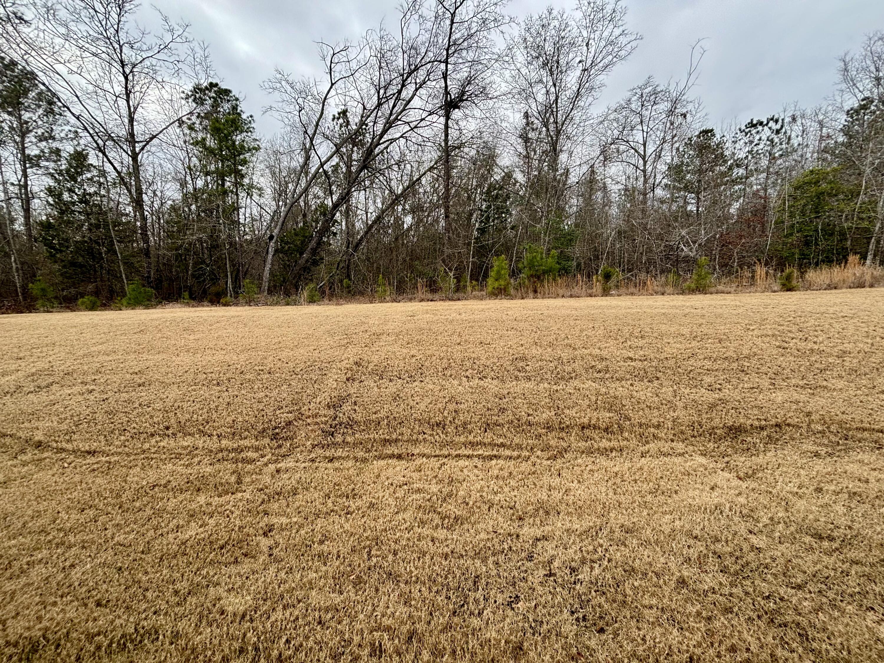 1012 Candleberry Drive Grovetown, GA 30813 - Photo 20 of 20 IMG_0809