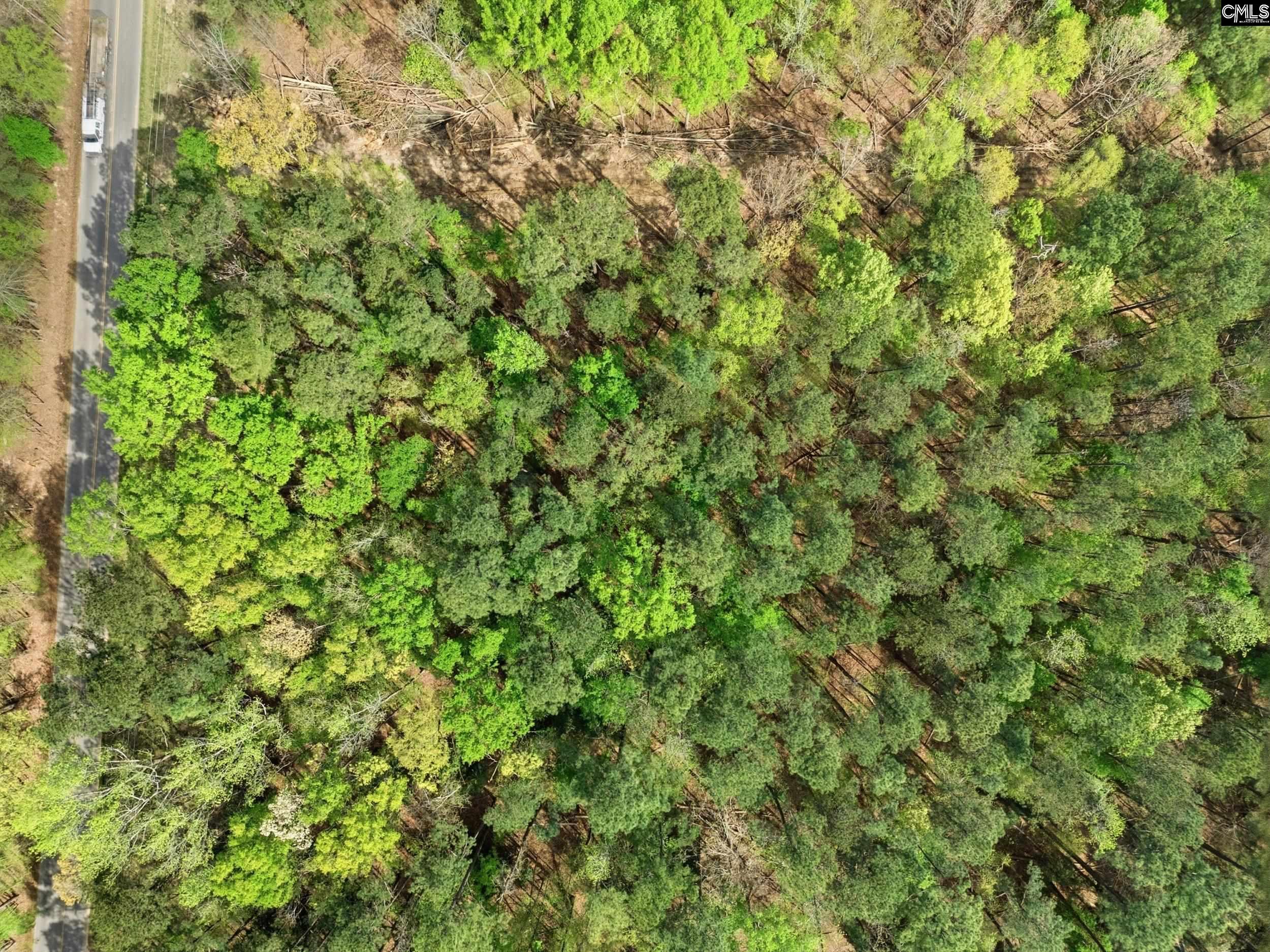 0 Wildwood Rd Extension Leesville, SC 29070 - Photo 15 of 16