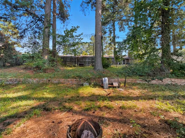 a view of a yard with plants