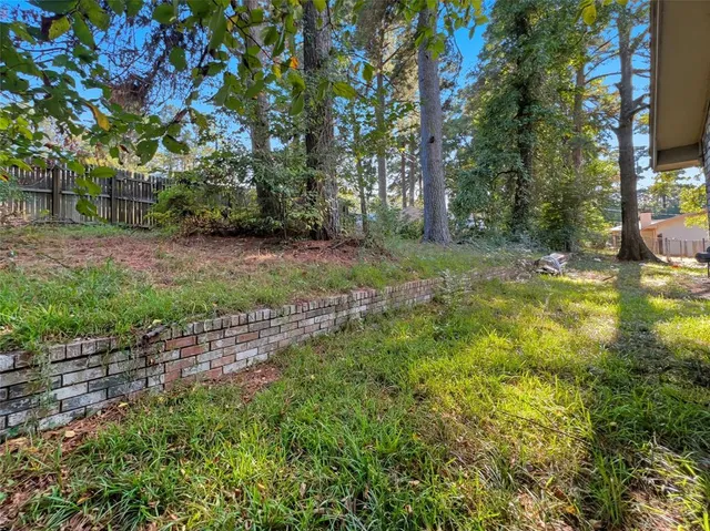 a view of a yard with a tree