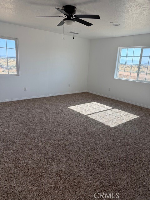 16925 Nanticoke Road Apple Valley, CA 92307 - Photo 30 of 87 an empty room with windows and ceiling fan view