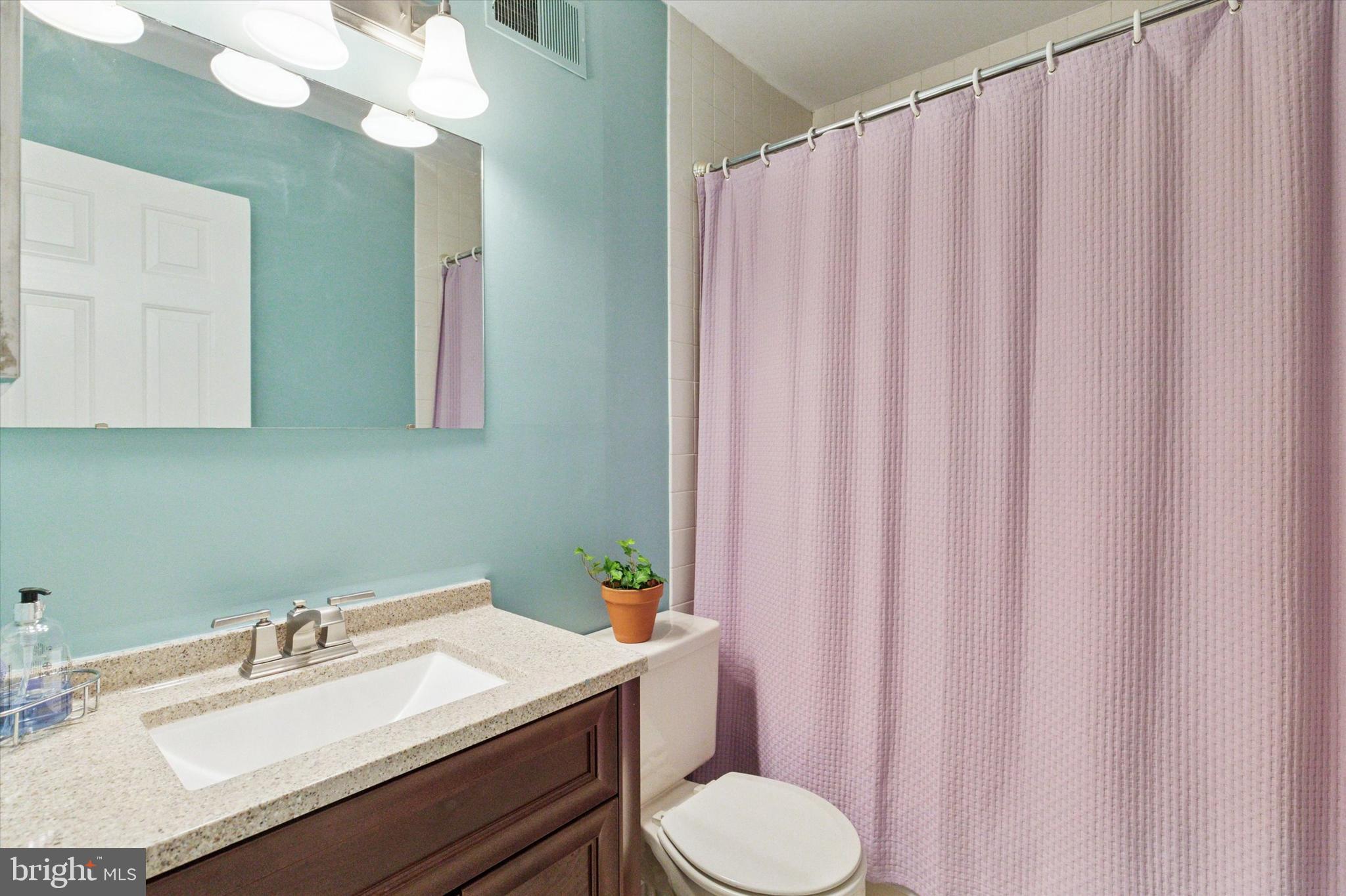 2300 Navajo Path Ambler, PA 19002 - Photo 21 of 25 a bathroom with a sink vanity mirror and toilet
