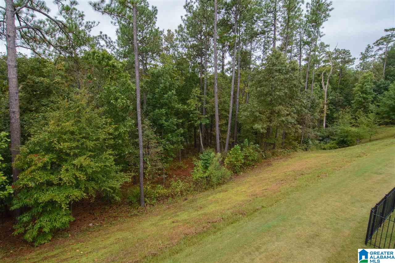 1300 Inverness Cove Drive Birmingham, AL 35242 - Photo 31 of 31
