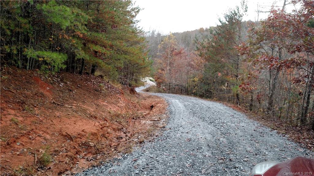 5165 Laughter Road Mill Spring, NC 28756 - Photo 2 of 12 a view of a forest with trees in the background