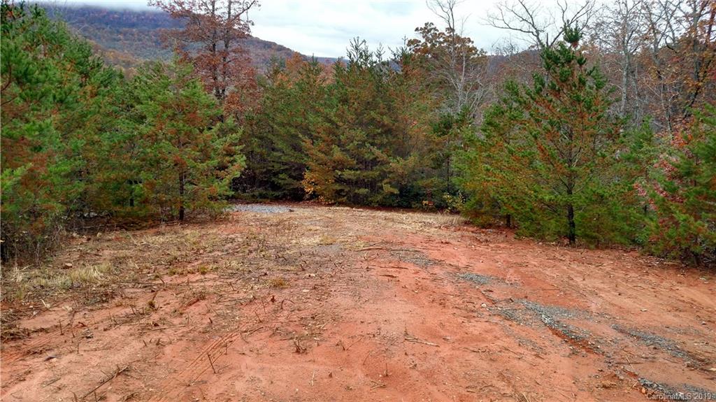 5165 Laughter Road Mill Spring, NC 28756 - Photo 5 of 12 a view of a yard with trees