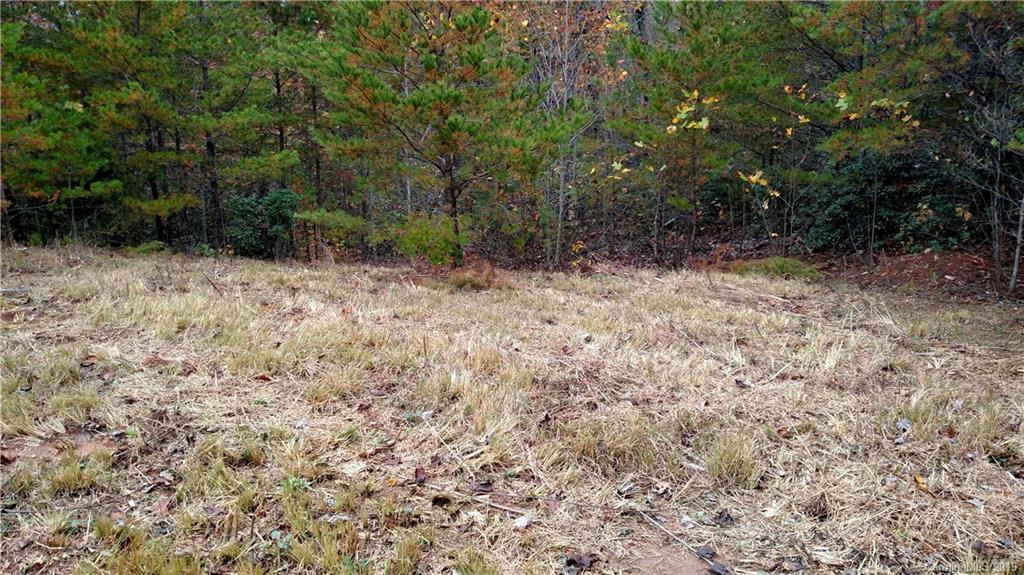 5165 Laughter Road Mill Spring, NC 28756 - Photo 7 of 12 a view of a yard with trees