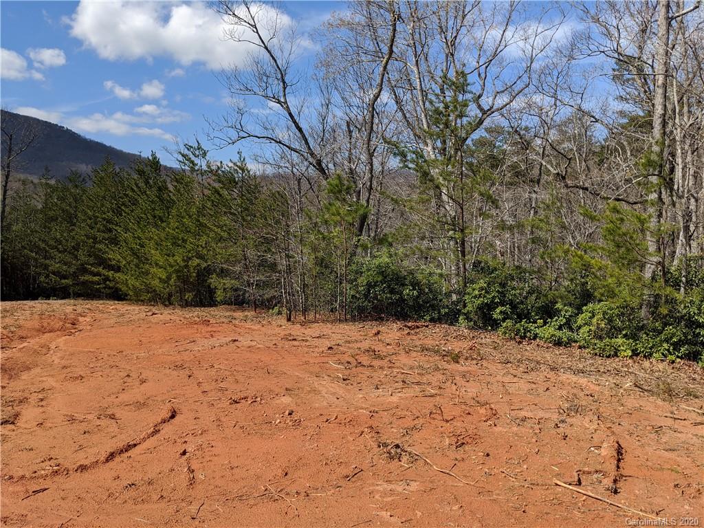 5165 Laughter Road Mill Spring, NC 28756 - Photo 10 of 12 a view of empty room and yard