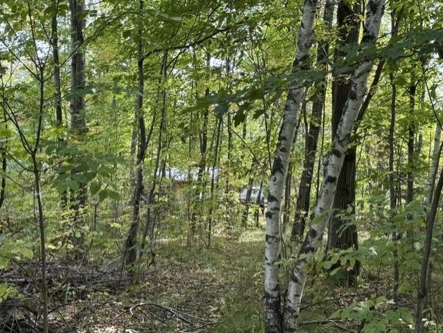 0 County Rd K Irma, WI 54442 - Photo 29 of 32 Gallery Image 29