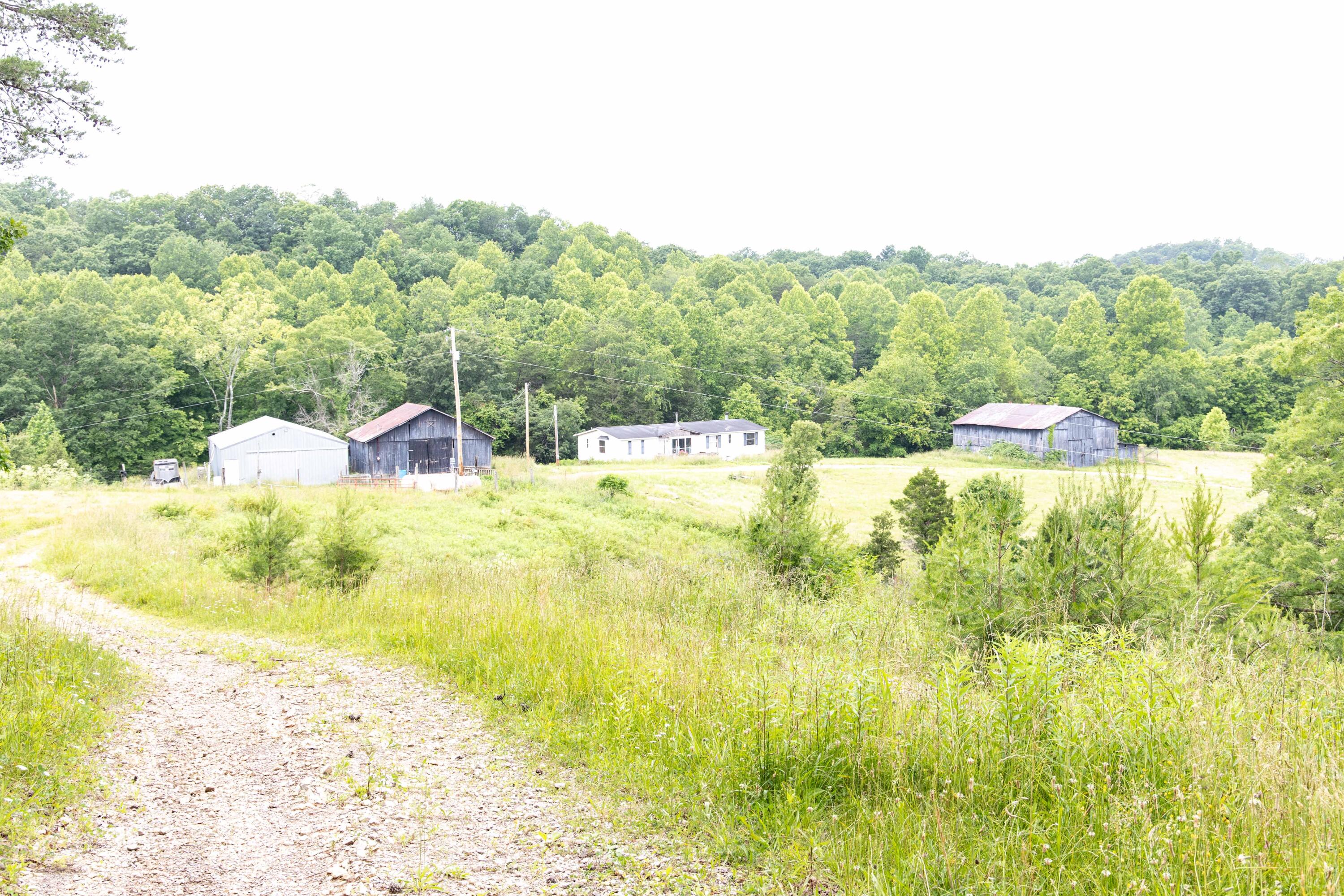 799 Hargett Road Irvine, KY 40336 - Photo 49 of 71 779Hargetroad-54