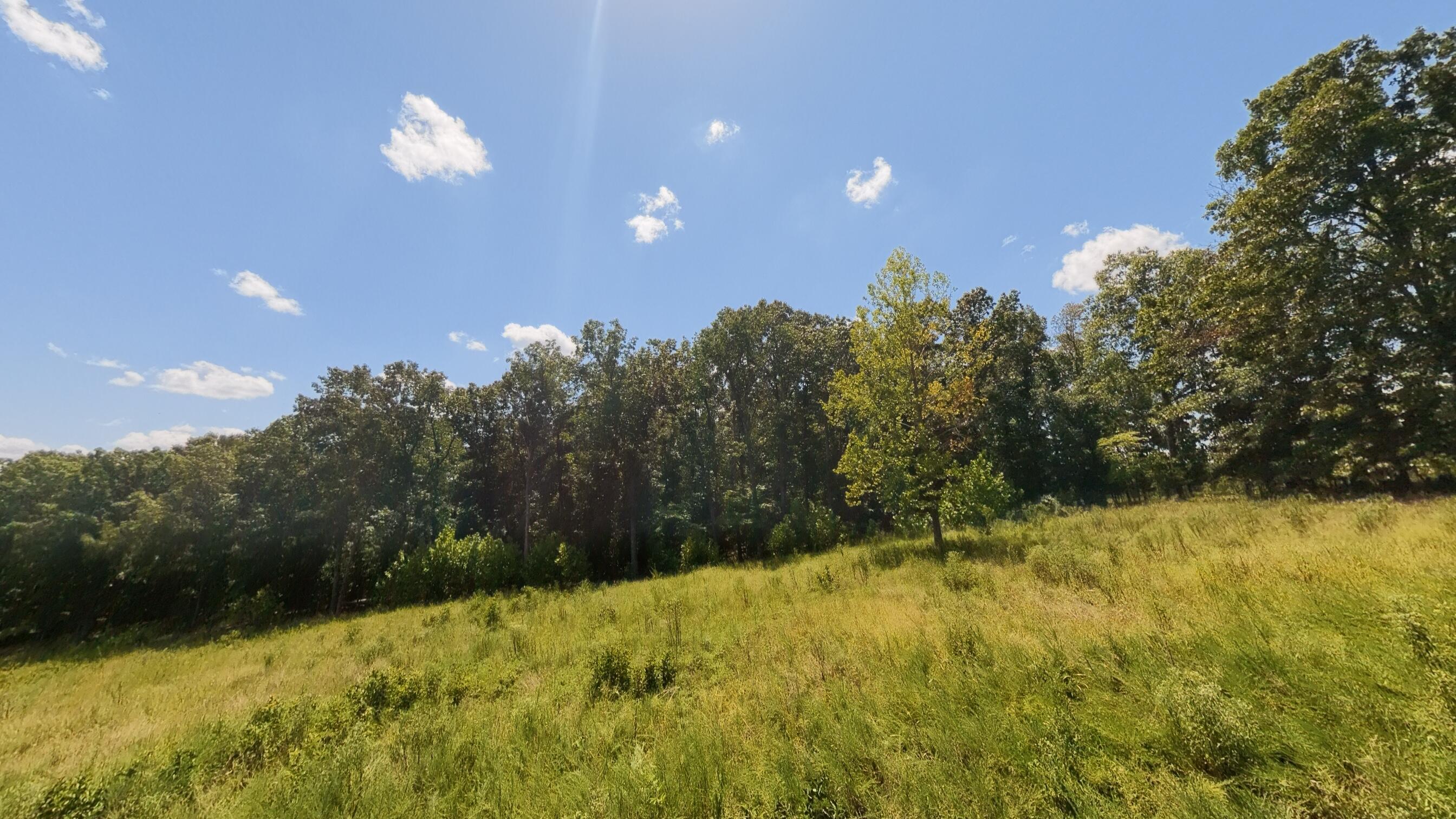 0 Bamber Street Mammoth Spring, AR 72554 - Photo 16 of 39 32+_- Acres014
