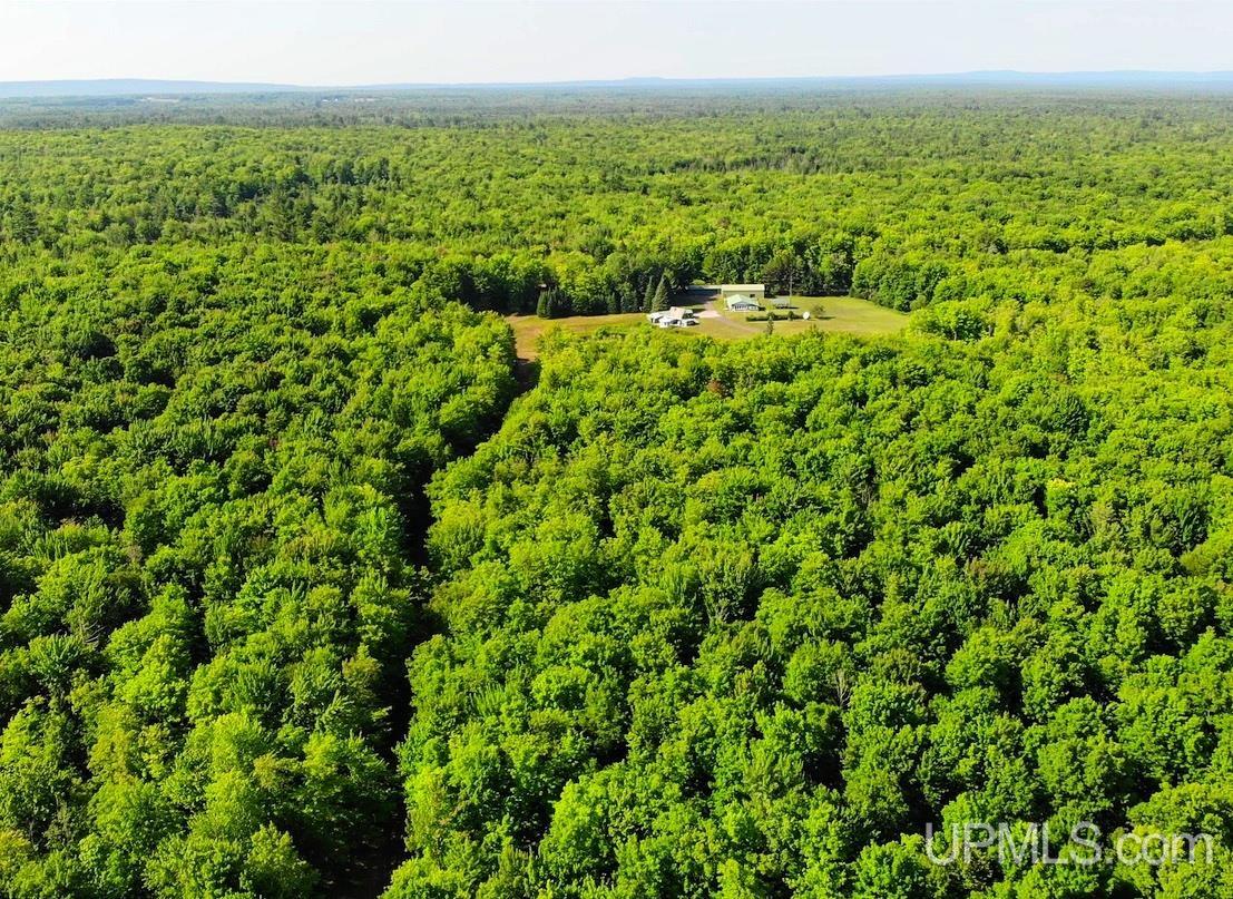 31357 Mud Lake Road Lake Linden, MI 49945 - Photo 4 of 47