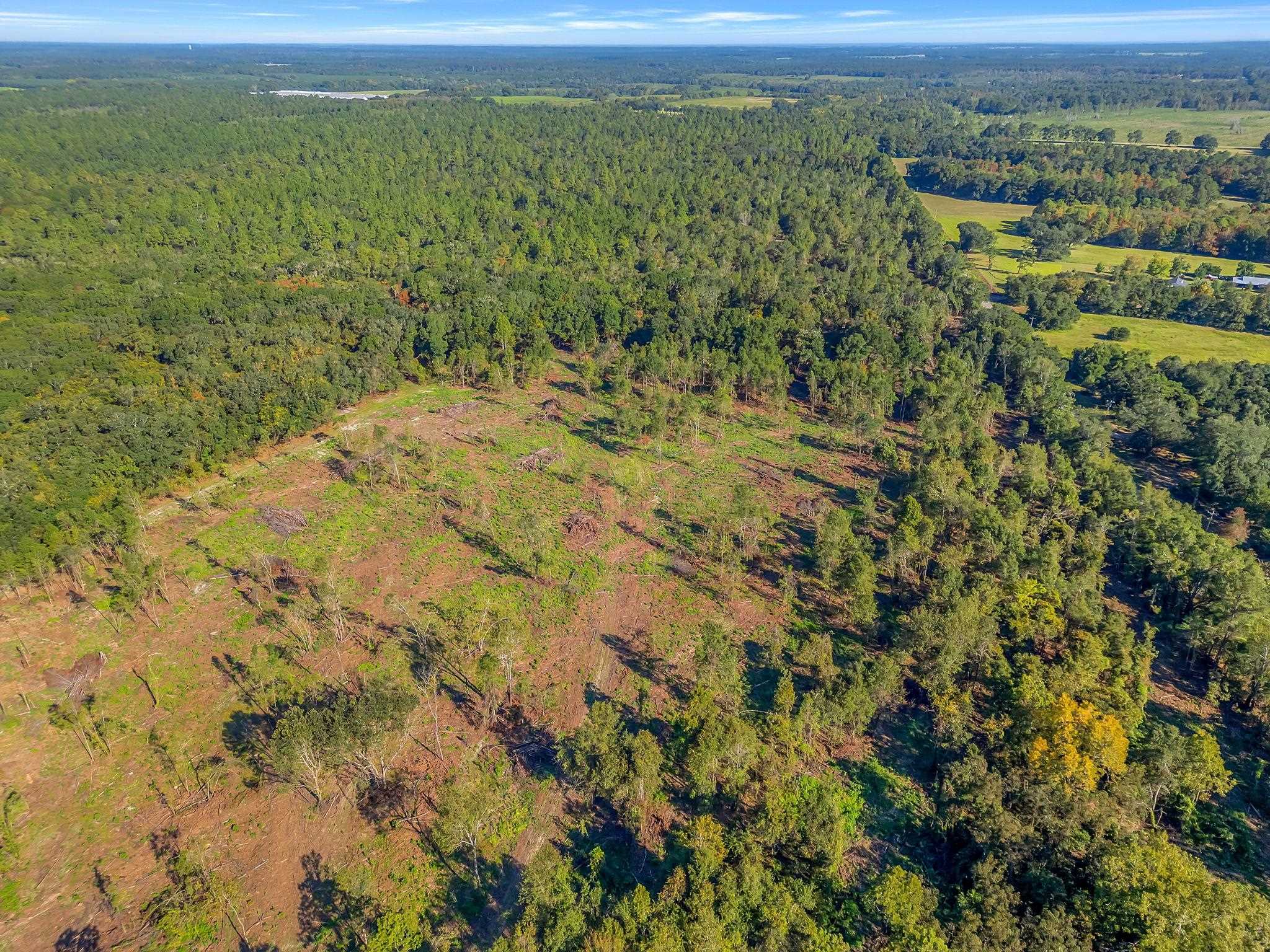 Lot#4 Glory Road Tallahassee, FL 32310 - Photo 8 of 11