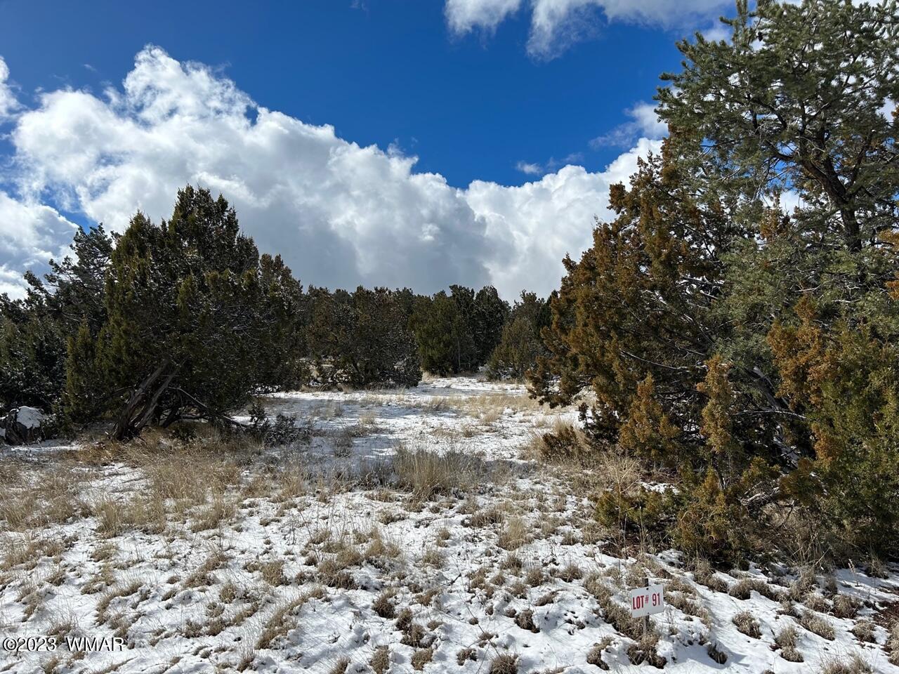 Lot 91 Ranch Road Concho, AZ 85924 - Photo 1 of 18