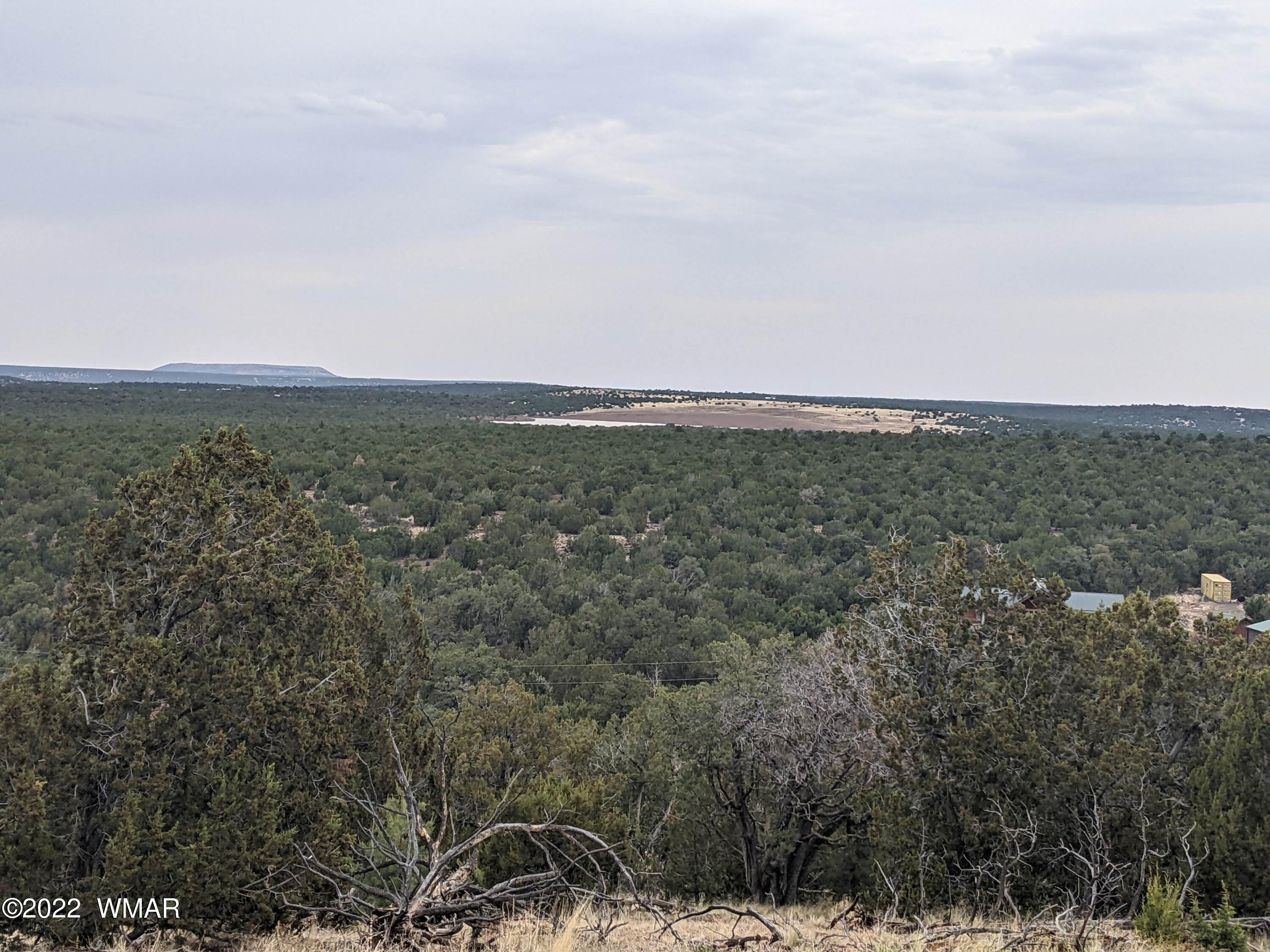 Lot 91 Ranch Road Concho, AZ 85924 - Photo 11 of 18