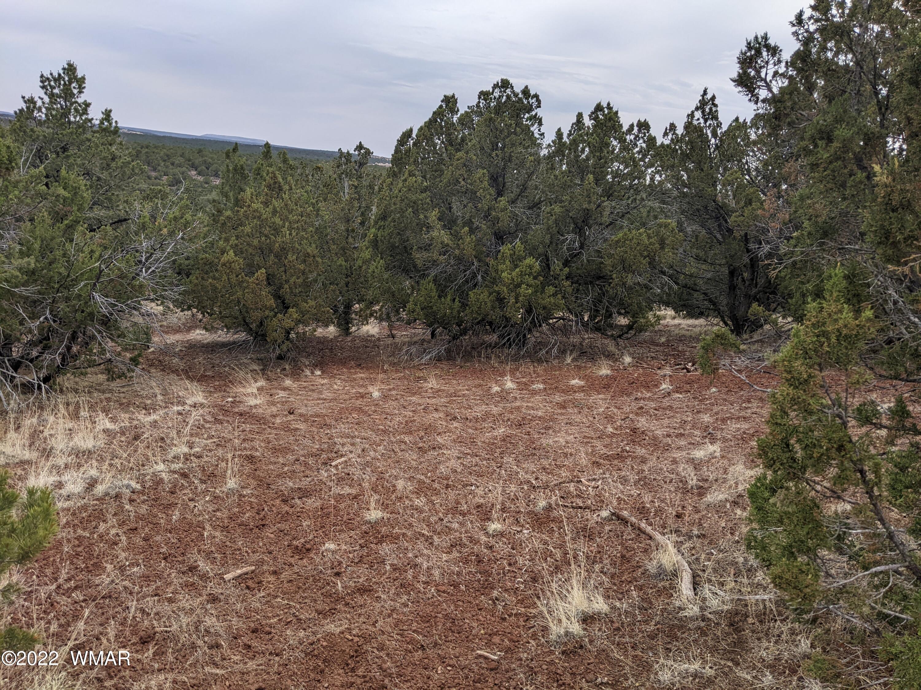 Lot 91 Ranch Road Concho, AZ 85924 - Photo 13 of 18