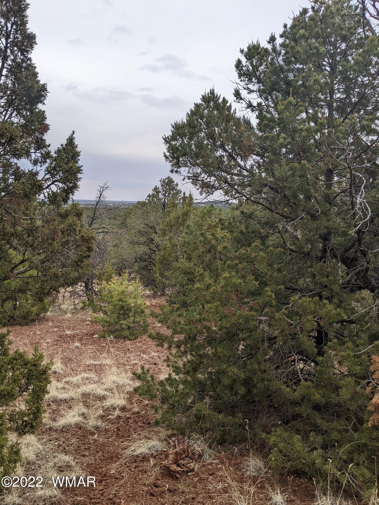 Lot 91 Ranch Road Concho, AZ 85924 - Photo 14 of 18