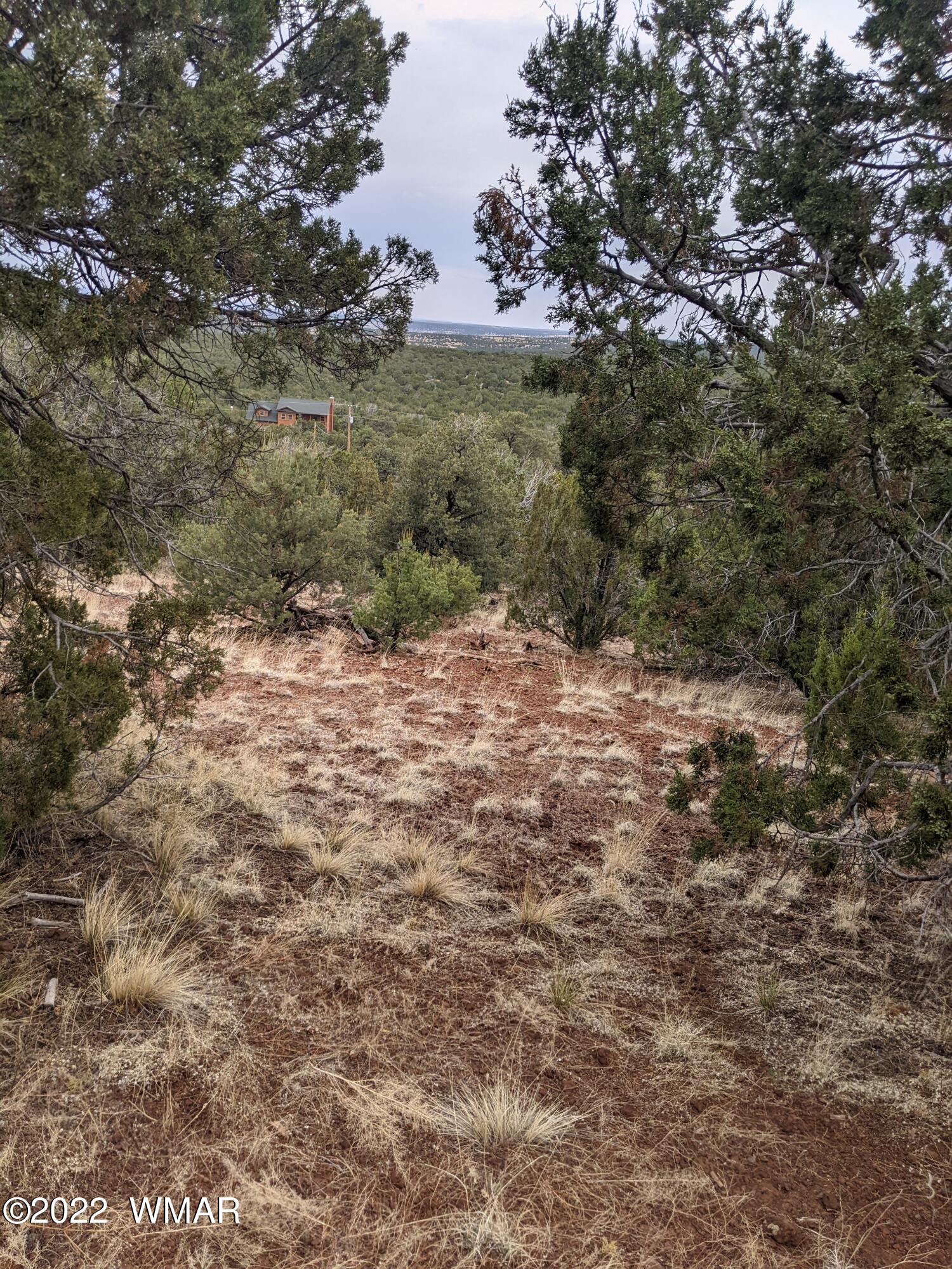 Lot 91 Ranch Road Concho, AZ 85924 - Photo 16 of 18