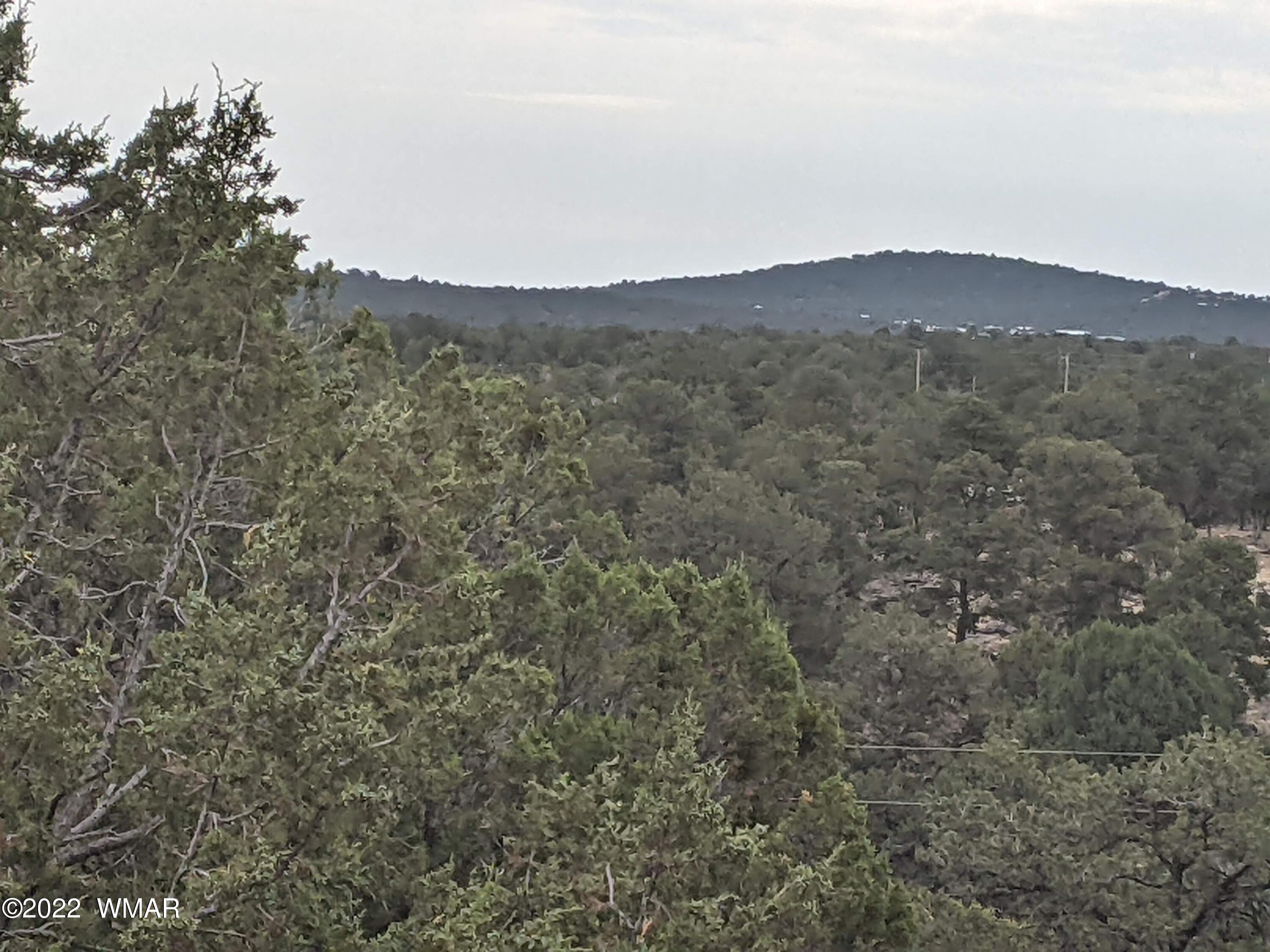Lot 91 Ranch Road Concho, AZ 85924 - Photo 2 of 18