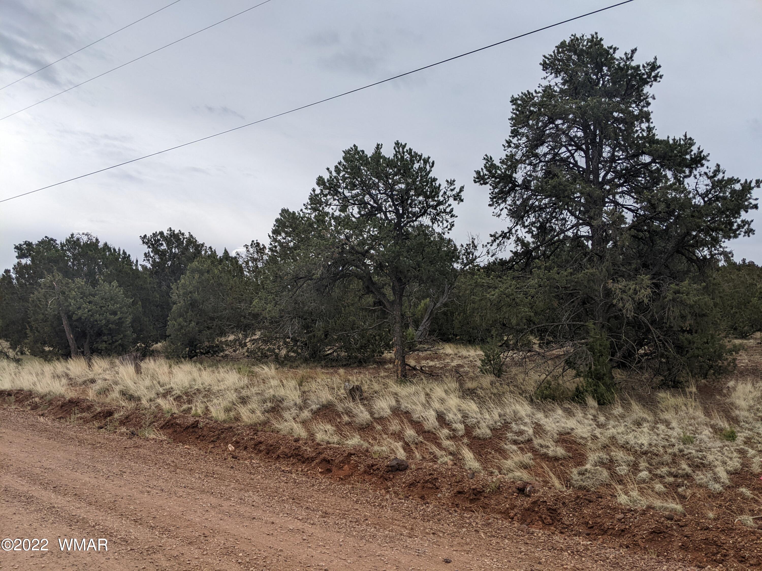 Lot 91 Ranch Road Concho, AZ 85924 - Photo 4 of 18