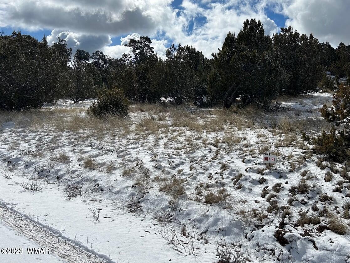 Lot 91 Ranch Road Concho, AZ 85924 - Photo 7 of 18