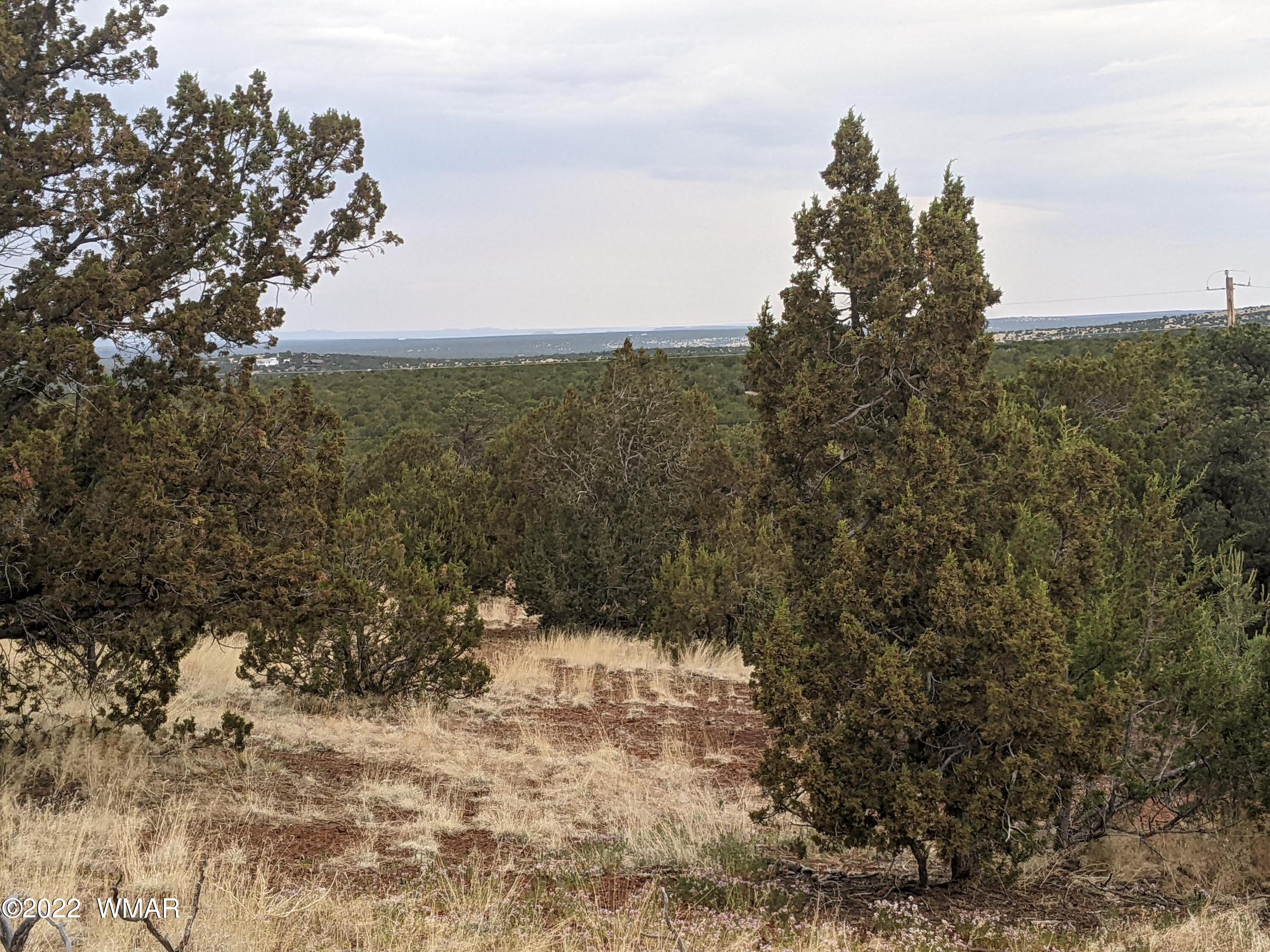 Lot 91 Ranch Road Concho, AZ 85924 - Photo 9 of 18