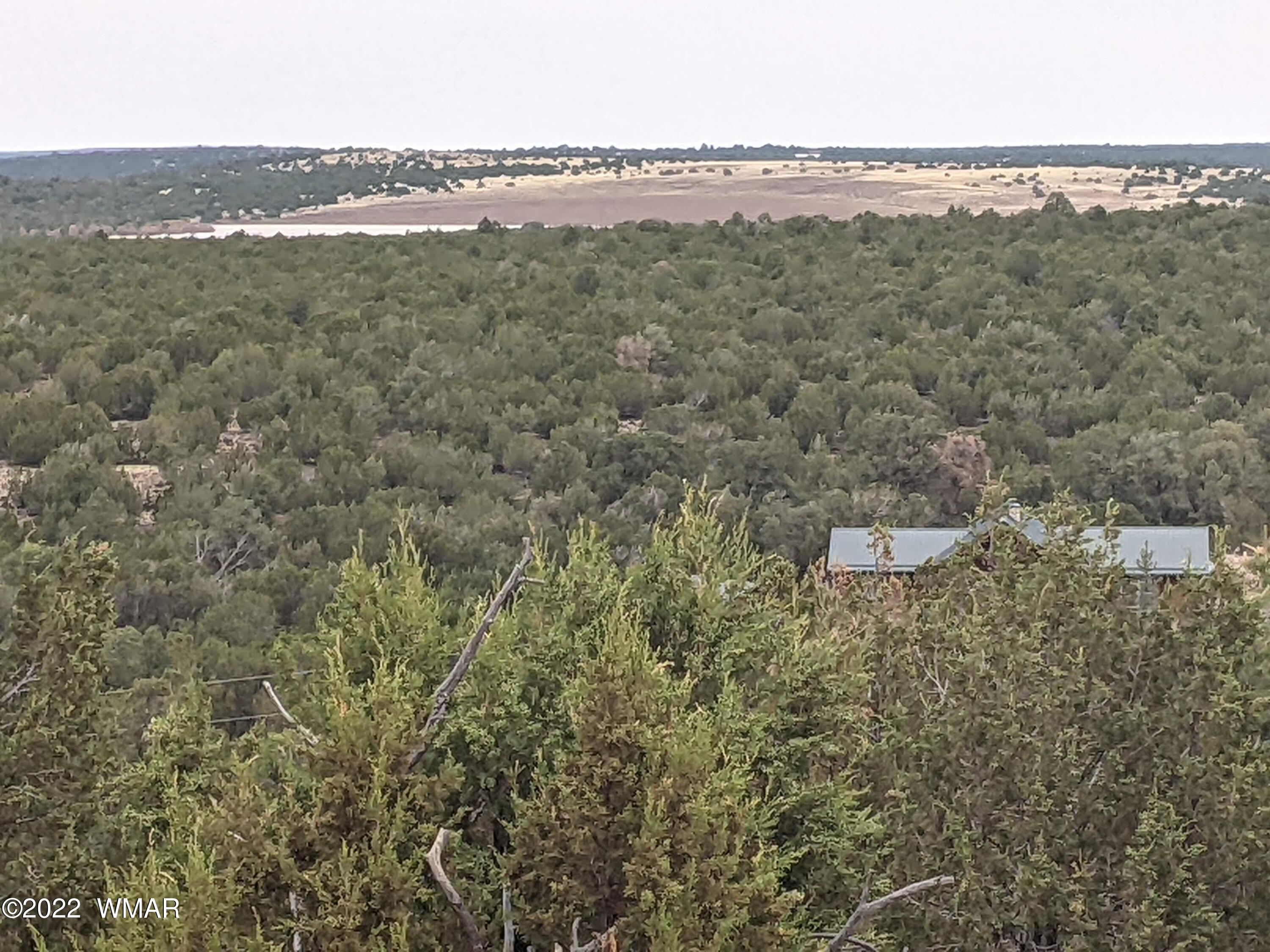 Lot 91 Ranch Road Concho, AZ 85924 - Photo 10 of 18