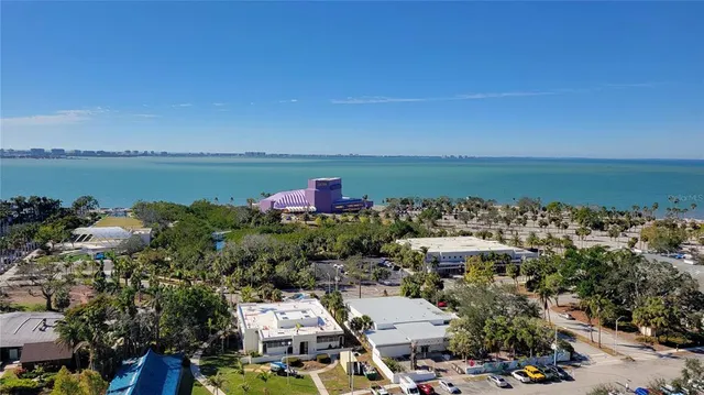 an aerial view of a house with a yard and a large tree