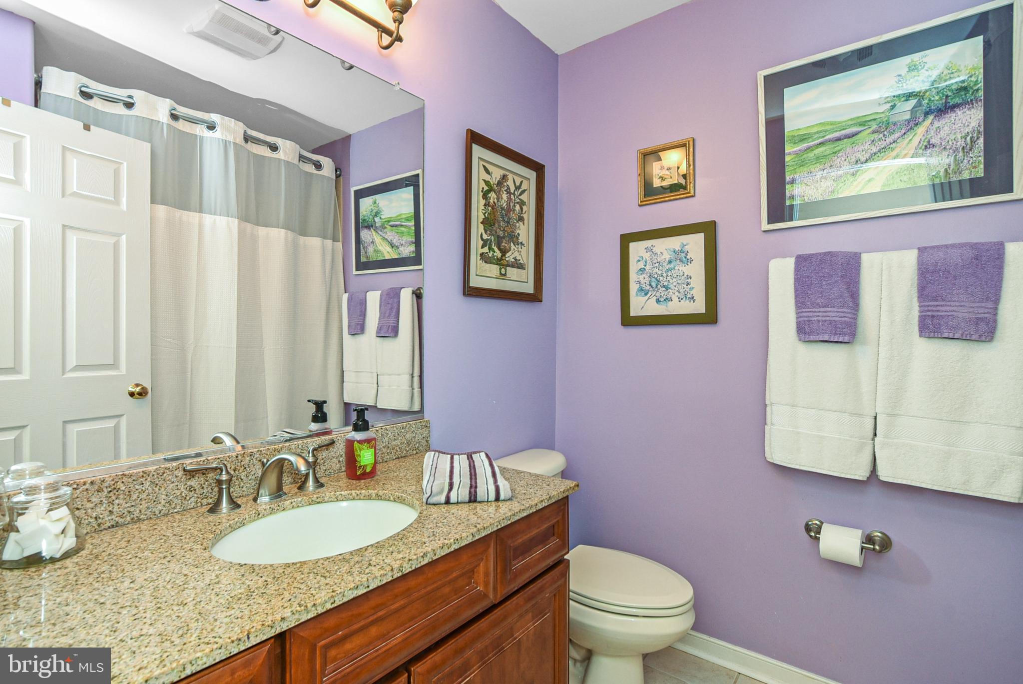 18536 Partlow Road Beaverdam, VA 23015 - Photo 39 of 64 Hall bathroom on main level