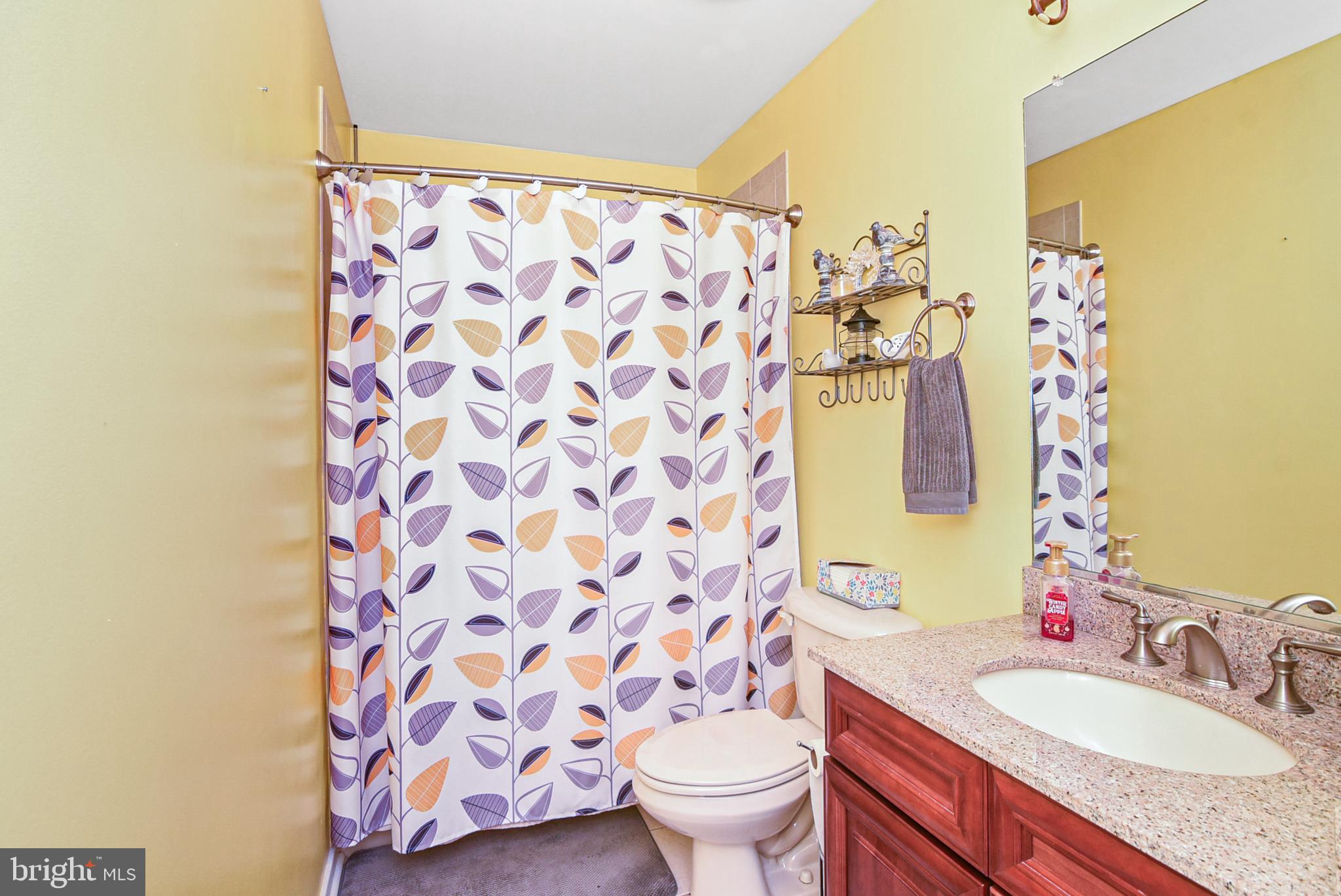 18536 Partlow Road Beaverdam, VA 23015 - Photo 47 of 64 Full bathroom downstairs