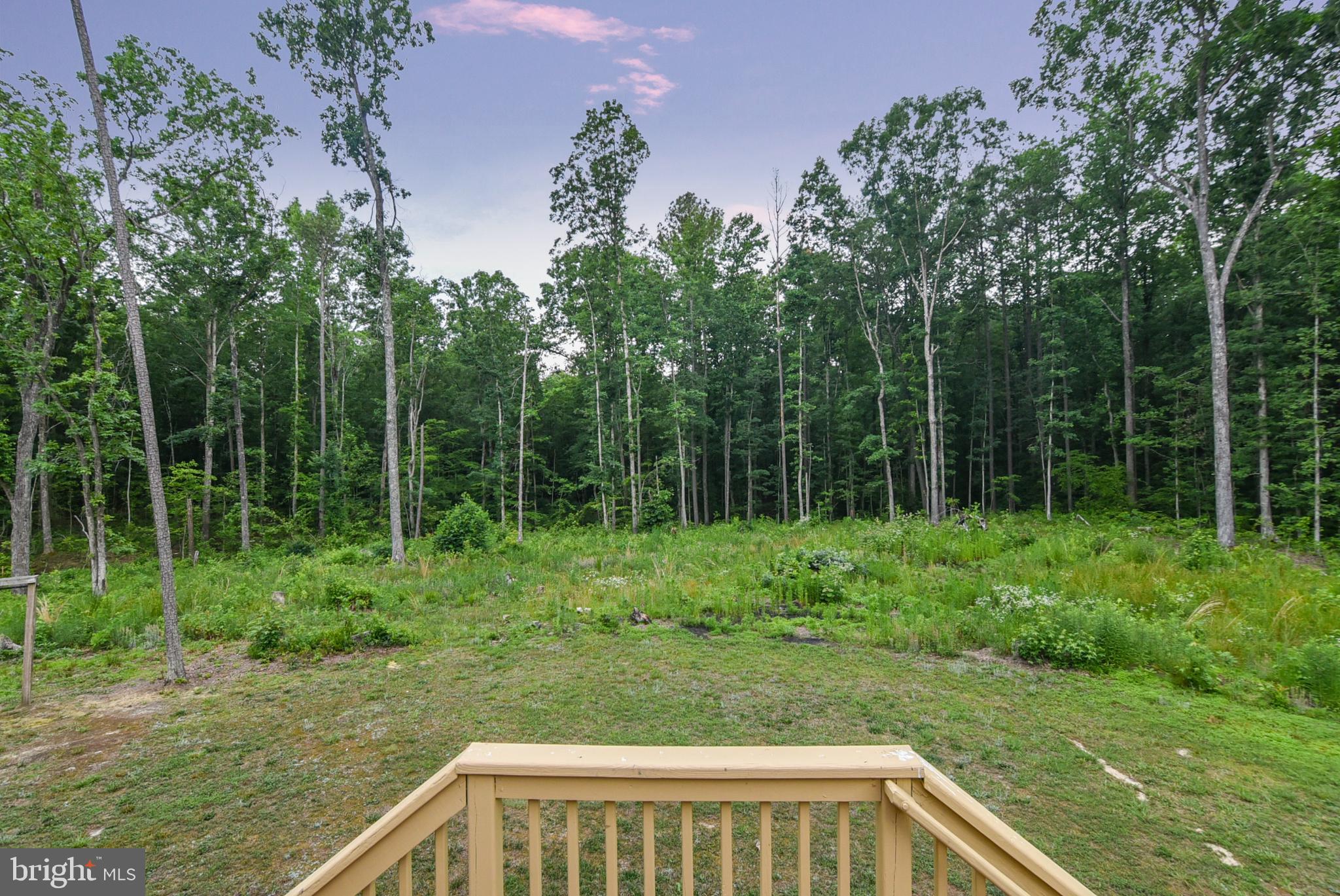18536 Partlow Road Beaverdam, VA 23015 - Photo 60 of 64 Rear view of backyard