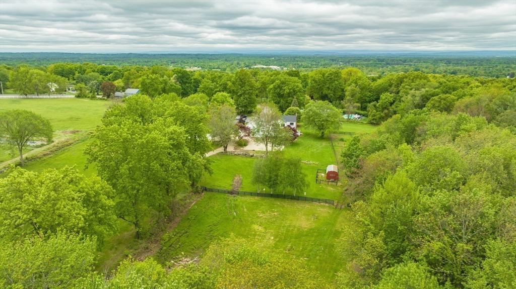 6 Hitching Post Lane Wilbraham, MA 01095 - Photo 11 of 34 a view of yard with green space