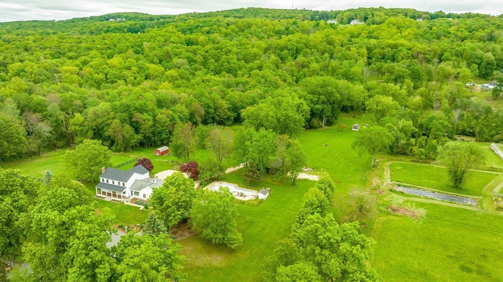 6 Hitching Post Lane Wilbraham, MA 01095 - Photo 14 of 34 a lush green forest with lots of trees