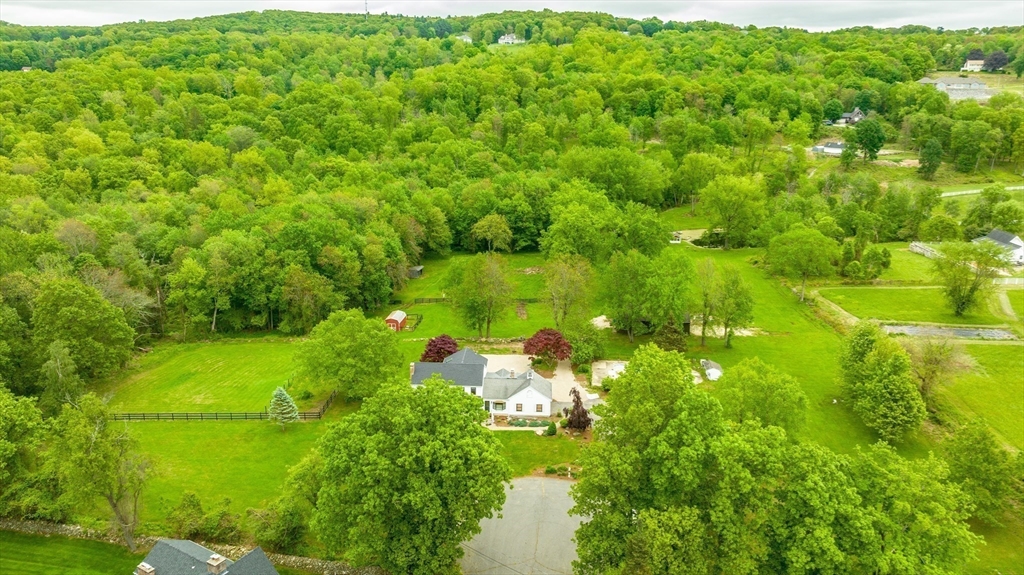 6 Hitching Post Lane Wilbraham, MA 01095 - Photo 15 of 34 a view of a yard
