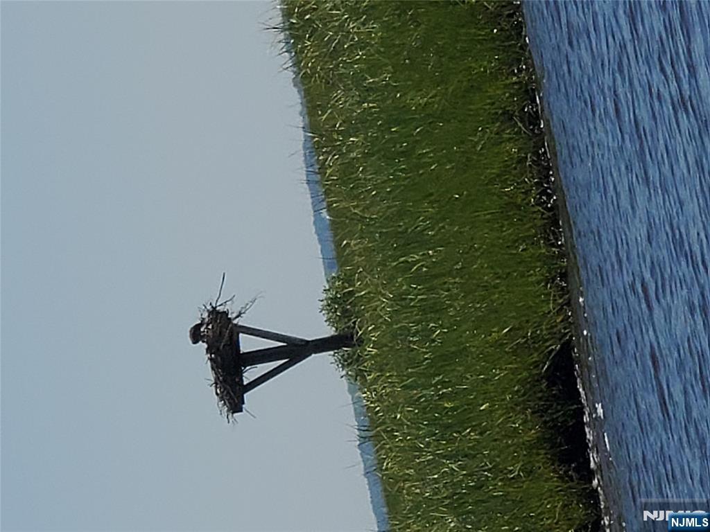 1159 Radio Road, Unit 7 Little Egg Harbor, NJ 08087 - Photo 38 of 38