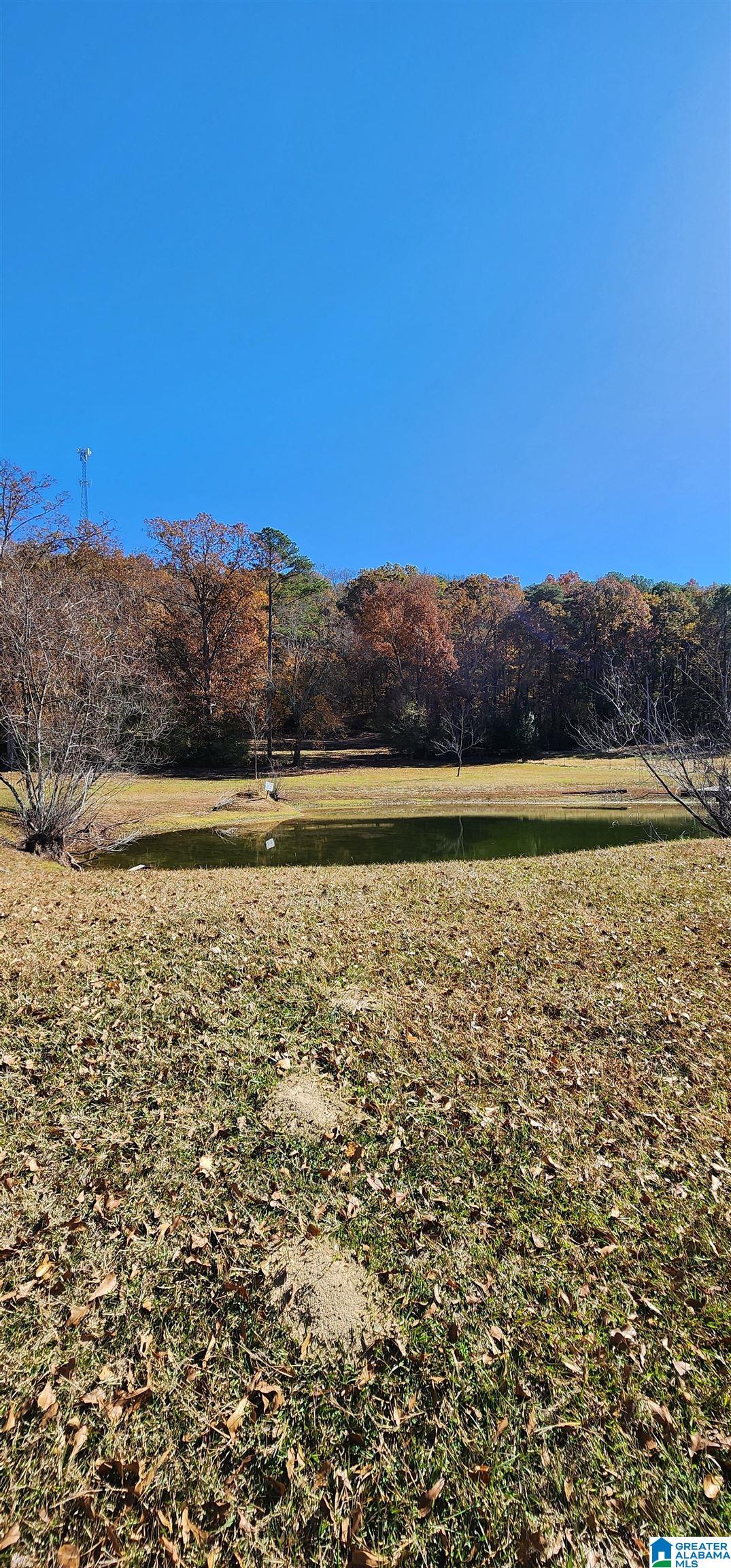 352 Kudzu Road Oneonta, AL 35121 - Photo 49 of 57