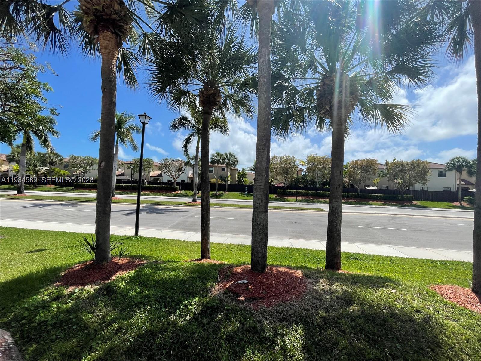 8900 Southwest 226th Terrace Cutler Bay, FL 33190 - Photo 39 of 40 a view of a yard with palm tree
