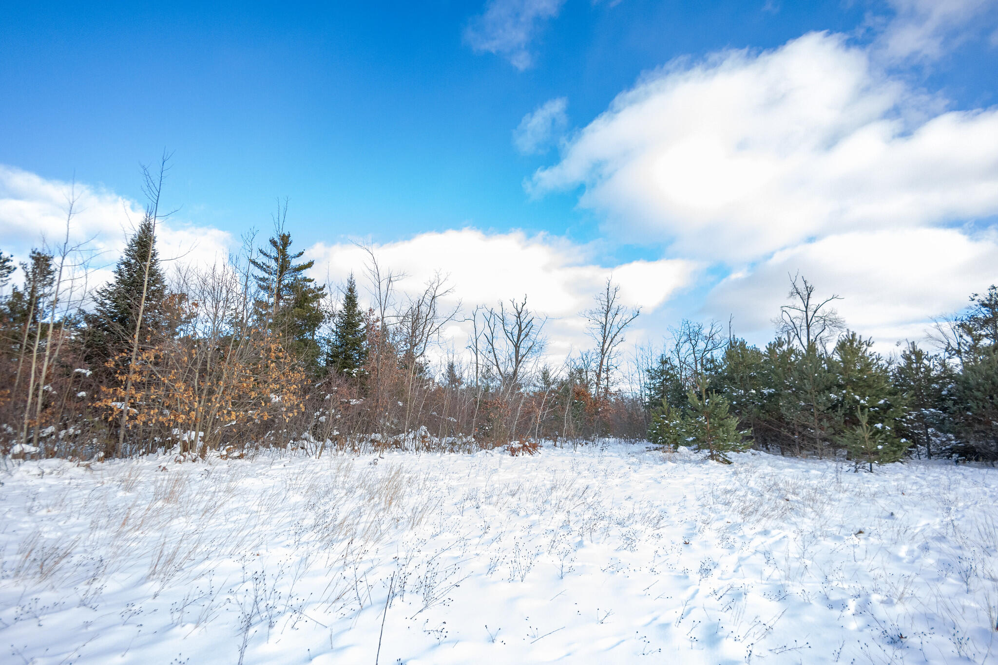 ALewiston, Michigan-25-X4