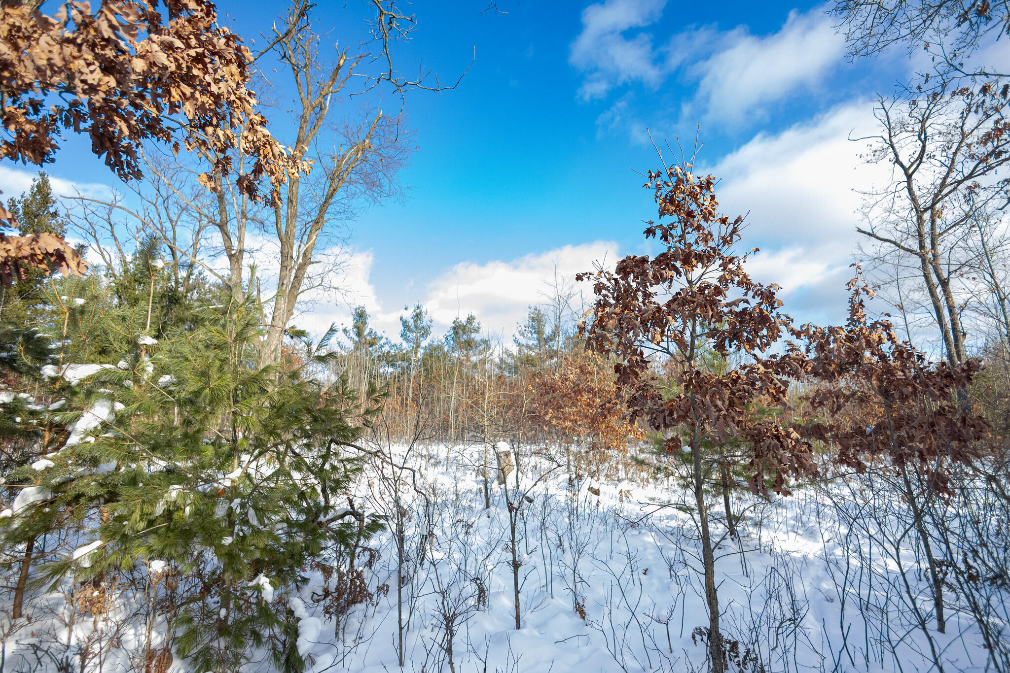 Undisclosed Address Lewiston, MI 49756 - Photo 11 of 18 Lewiston, Michigan-26-X4