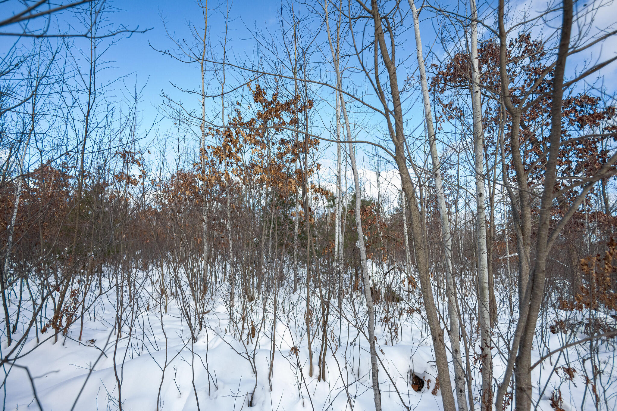 Undisclosed Address Lewiston, MI 49756 - Photo 12 of 18 Lewiston, Michigan-30-X4