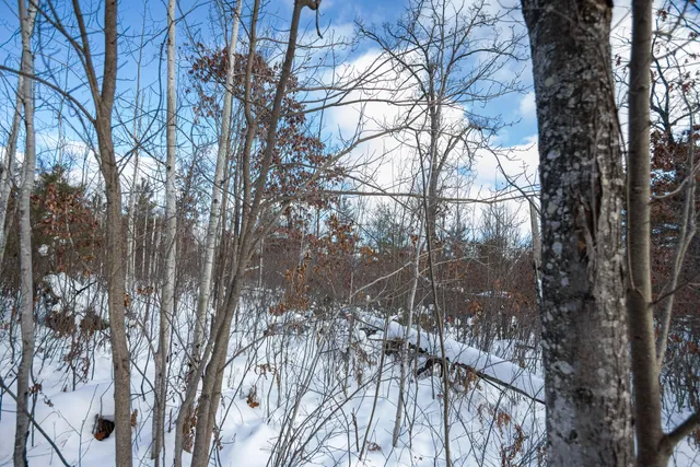 $75,000 | Undisclosed Address, Lewiston, MI 49756