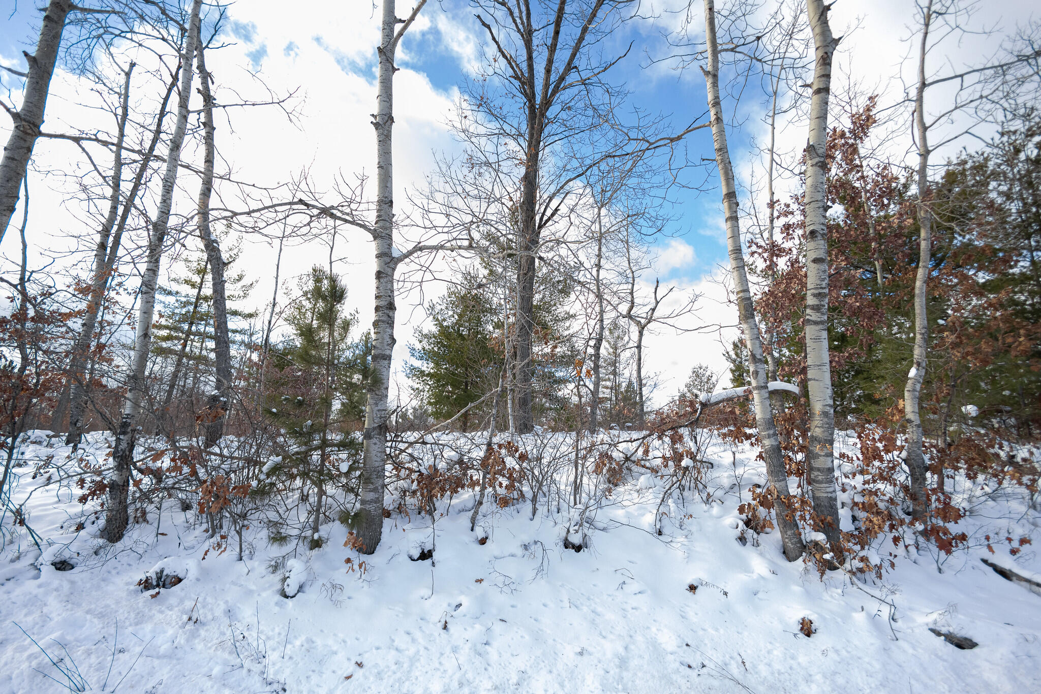 Undisclosed Address Lewiston, MI 49756 - Photo 4 of 18 Lewiston, Michigan-9-X4